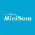 MiniSom